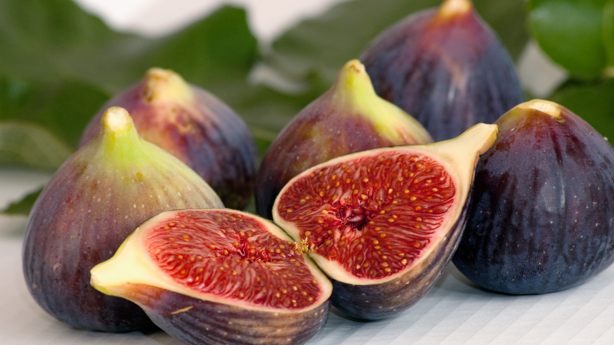 benefits-of-Fig