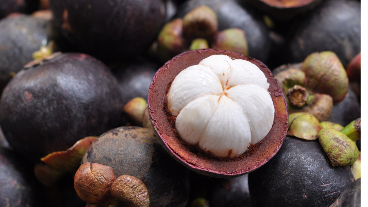 benefits-of-Mangosteen