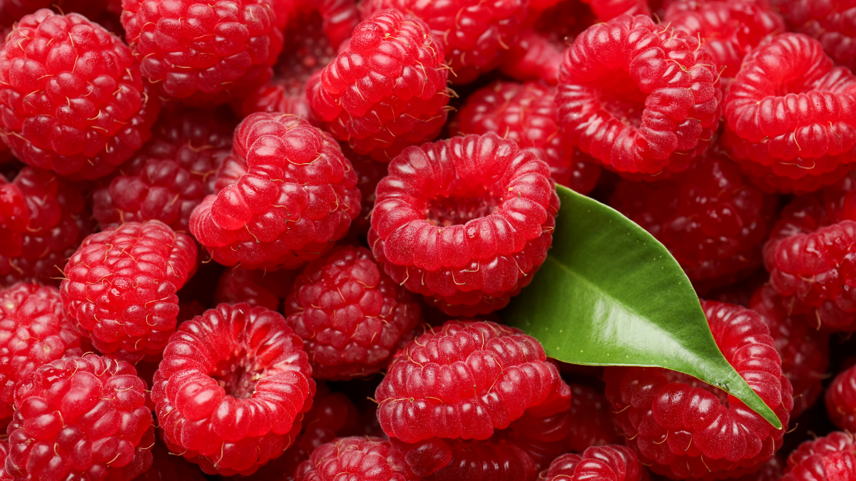 benefits of Raspberries