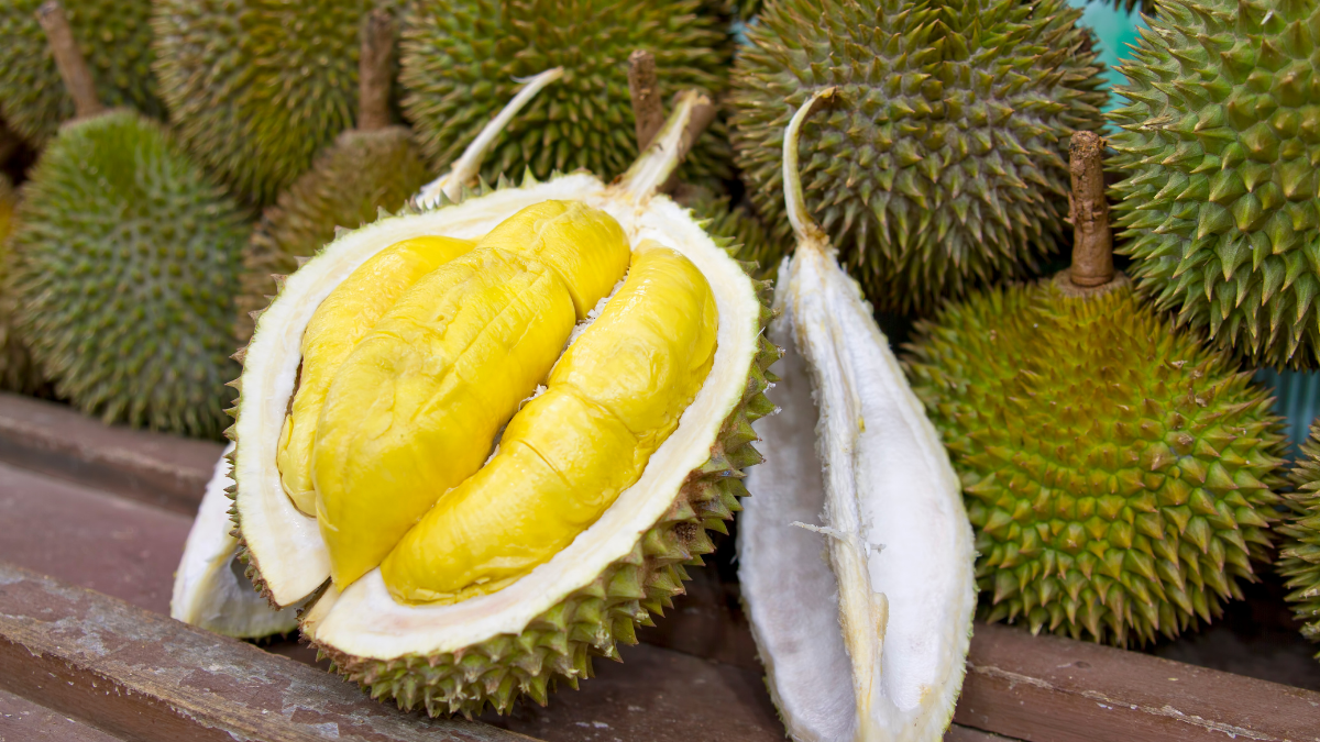 benefits-of-durian